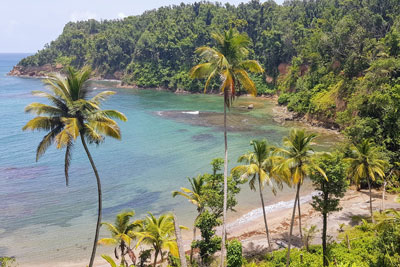 agences de voyage martinique