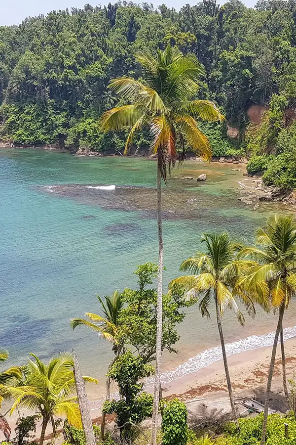 agence de voyage en martinique