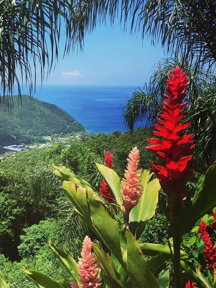 agences de voyage martinique