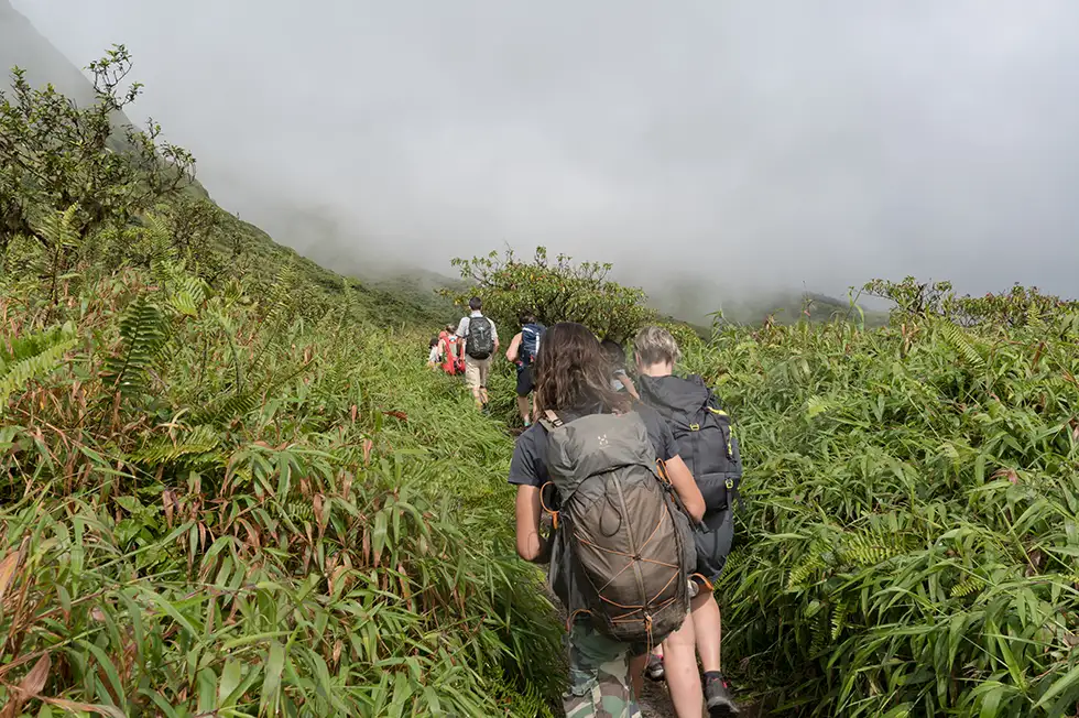 agence de voyage en martinique